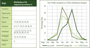 Leadership Maturity Assessment